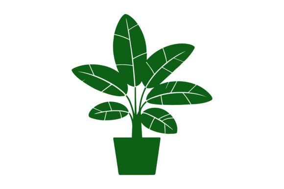 Download Potted Rubber Plant Foliage Design - Foliage design Collection